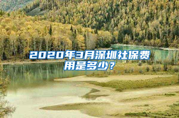 2020年3月深圳社保费用是多少？