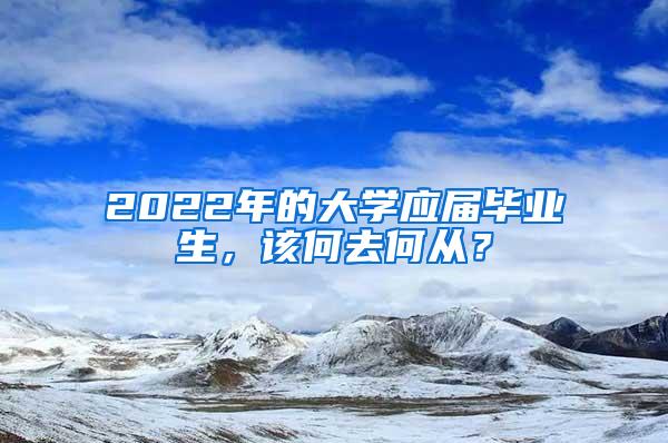 2022年的大学应届毕业生，该何去何从？