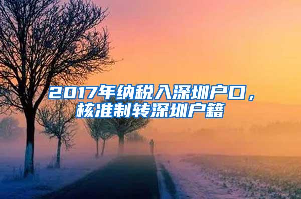 2017年纳税入深圳户口，核准制转深圳户籍