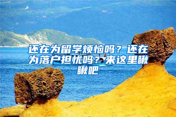 还在为留学烦恼吗？还在为落户担忧吗？来这里瞅瞅吧