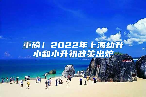 重磅！2022年上海幼升小和小升初政策出炉