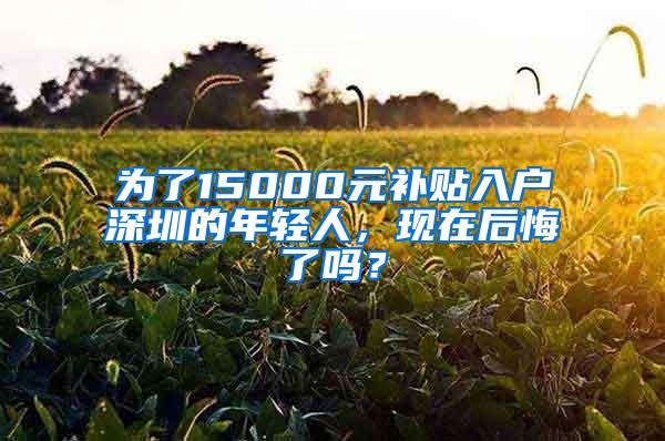 为了15000元补贴入户深圳的年轻人，现在后悔了吗？