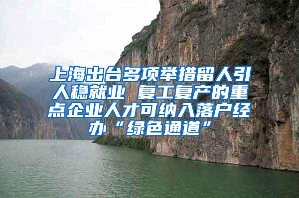 上海出台多项举措留人引人稳就业 复工复产的重点企业人才可纳入落户经办“绿色通道”