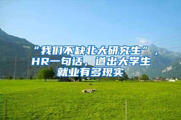 “我们不缺北大研究生”，HR一句话，道出大学生就业有多现实