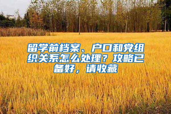 留学前档案、户口和党组织关系怎么处理？攻略已备好，请收藏