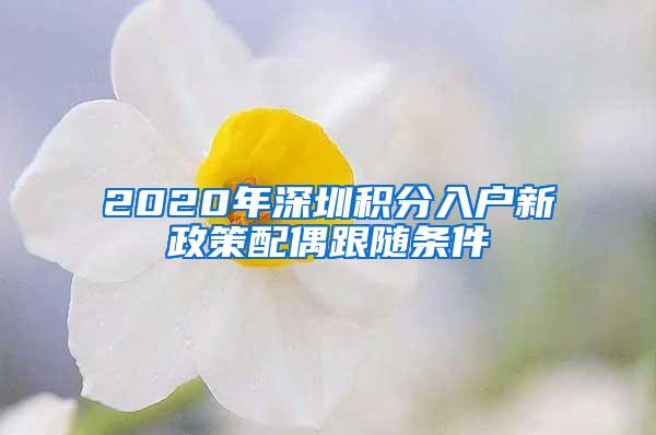 2020年深圳积分入户新政策配偶跟随条件