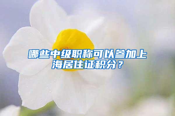 哪些中级职称可以参加上海居住证积分？