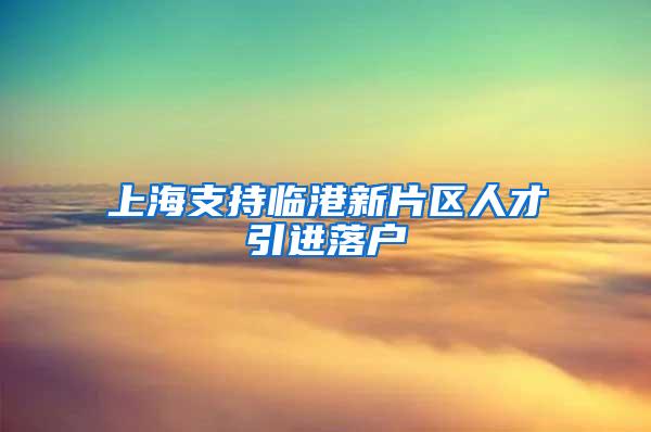 上海支持临港新片区人才引进落户