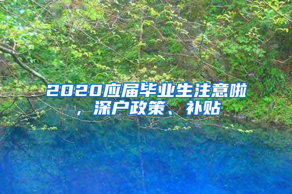 2020应届毕业生注意啦，深户政策、补贴