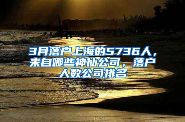 3月落户上海的5736人，来自哪些神仙公司，落户人数公司排名