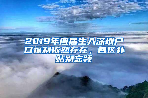 2019年应届生入深圳户口福利依然存在，各区补贴别忘领