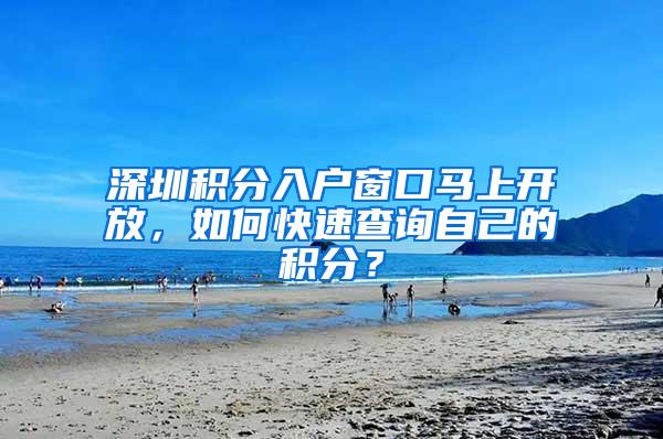 深圳积分入户窗口马上开放，如何快速查询自己的积分？