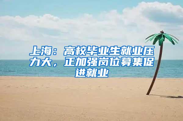 上海：高校毕业生就业压力大，正加强岗位募集促进就业