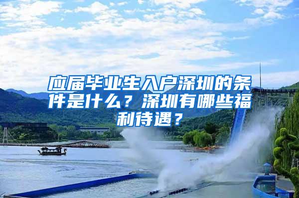 应届毕业生入户深圳的条件是什么？深圳有哪些福利待遇？