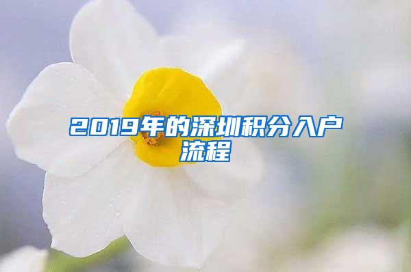 2019年的深圳积分入户流程