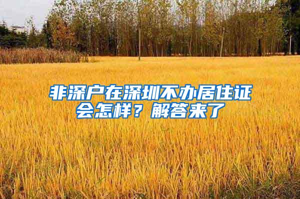 非深户在深圳不办居住证会怎样？解答来了