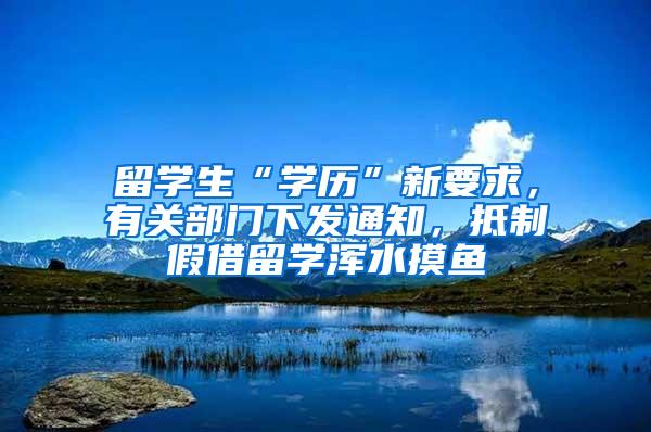 留学生“学历”新要求，有关部门下发通知，抵制假借留学浑水摸鱼