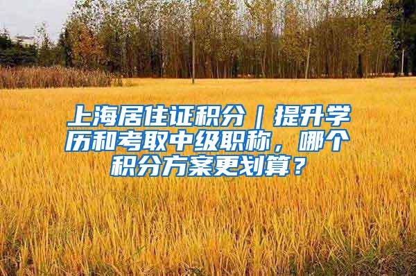 上海居住证积分｜提升学历和考取中级职称，哪个积分方案更划算？