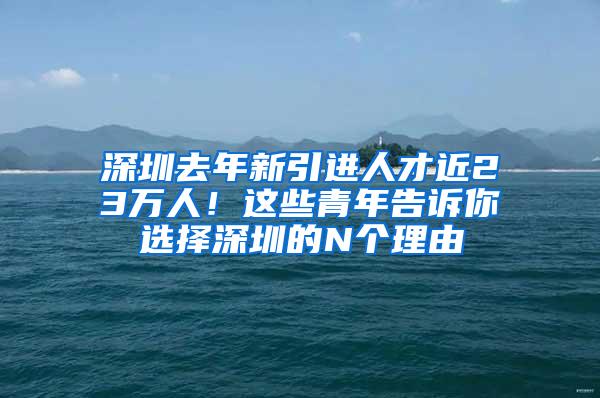 深圳去年新引进人才近23万人！这些青年告诉你选择深圳的N个理由