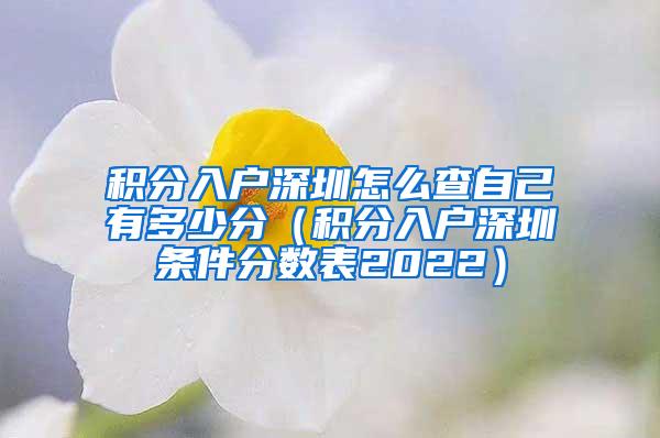 积分入户深圳怎么查自己有多少分（积分入户深圳条件分数表2022）