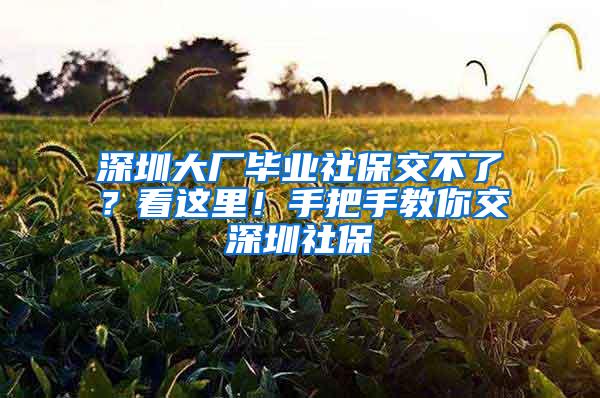 深圳大厂毕业社保交不了？看这里！手把手教你交深圳社保