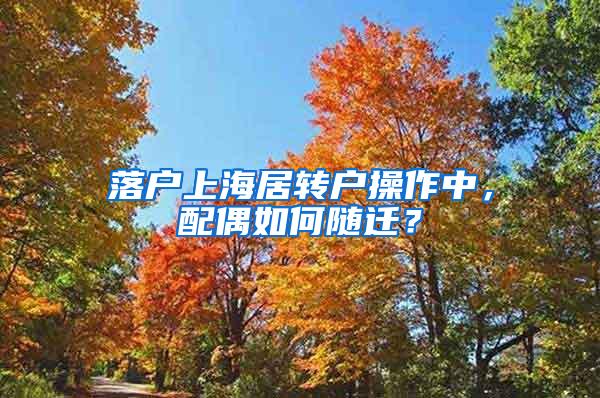 落户上海居转户操作中，配偶如何随迁？