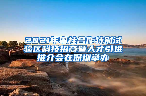 2021年粤桂合作特别试验区科技招商暨人才引进推介会在深圳举办