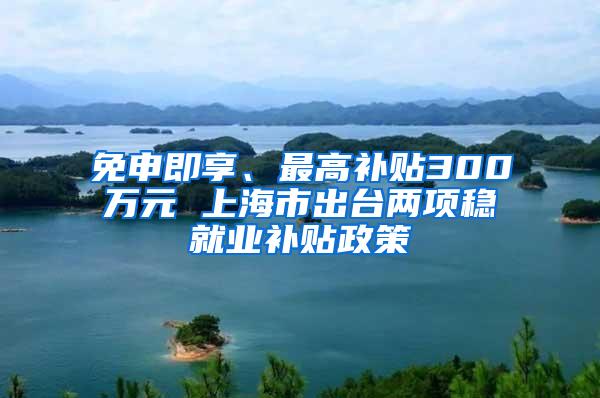 免申即享、最高补贴300万元 上海市出台两项稳就业补贴政策