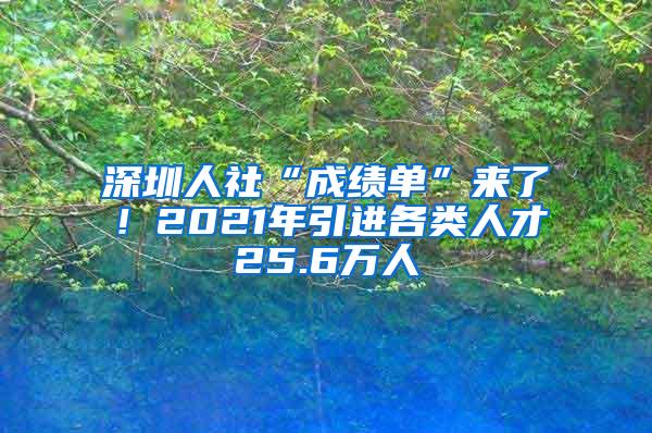 深圳人社“成绩单”来了！2021年引进各类人才25.6万人