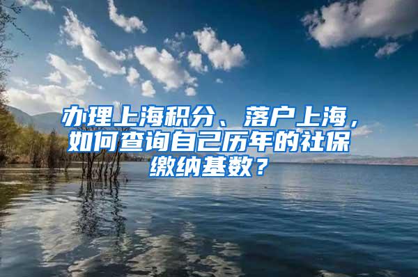 办理上海积分、落户上海，如何查询自己历年的社保缴纳基数？