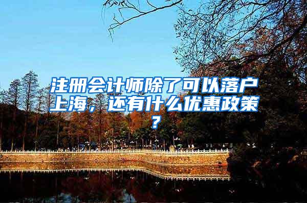 注册会计师除了可以落户上海，还有什么优惠政策？