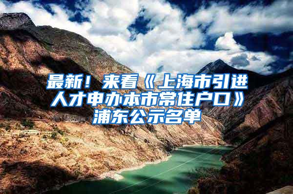 最新！来看《上海市引进人才申办本市常住户口》浦东公示名单