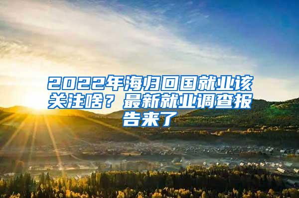 2022年海归回国就业该关注啥？最新就业调查报告来了