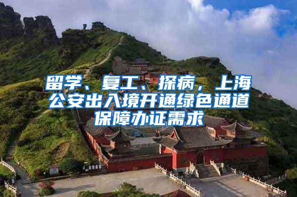 留学、复工、探病，上海公安出入境开通绿色通道保障办证需求