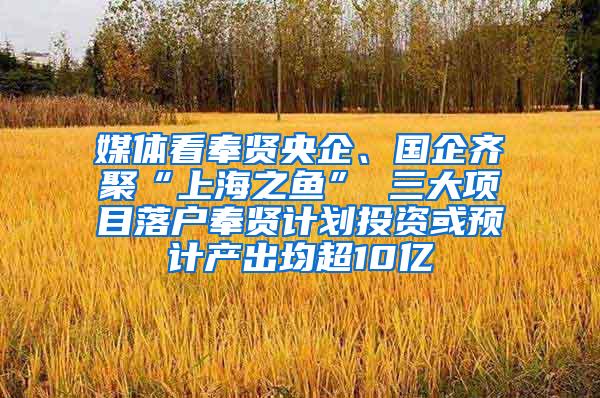 媒体看奉贤央企、国企齐聚“上海之鱼” 三大项目落户奉贤计划投资或预计产出均超10亿