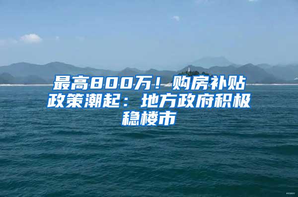 最高800万！购房补贴政策潮起：地方政府积极稳楼市