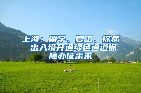 上海：留学、复工、探病 出入境开通绿色通道保障办证需求