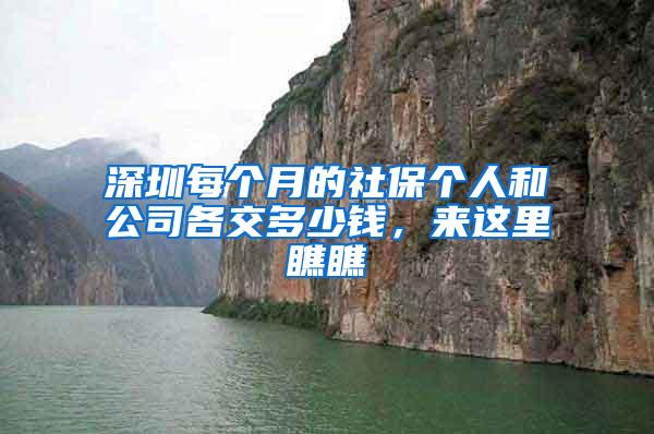 深圳每个月的社保个人和公司各交多少钱，来这里瞧瞧