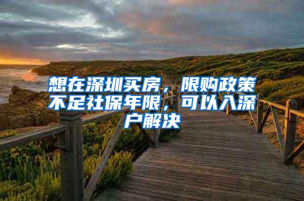 想在深圳买房，限购政策不足社保年限，可以入深户解决