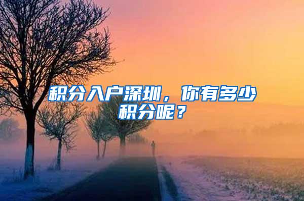 积分入户深圳，你有多少积分呢？