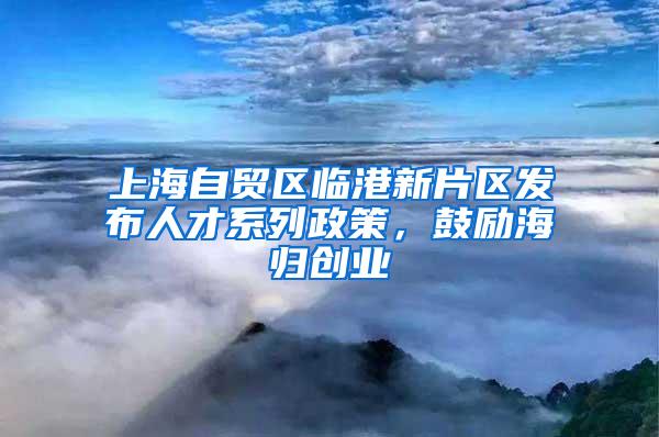 上海自贸区临港新片区发布人才系列政策，鼓励海归创业