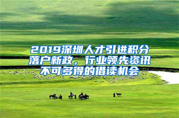 2019深圳人才引进积分落户新政，行业领先资讯不可多得的借读机会