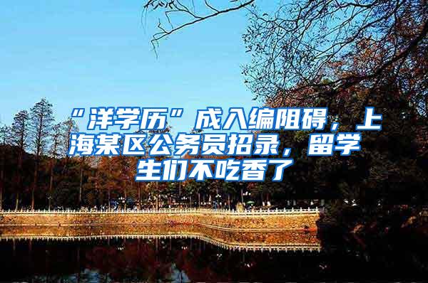 “洋学历”成入编阻碍，上海某区公务员招录，留学生们不吃香了