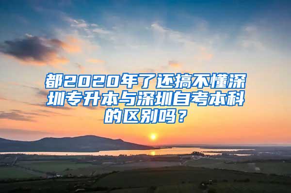 都2020年了还搞不懂深圳专升本与深圳自考本科的区别吗？