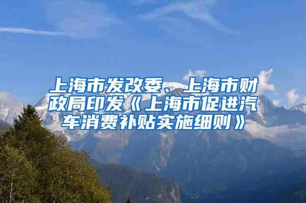 上海市发改委、上海市财政局印发《上海市促进汽车消费补贴实施细则》