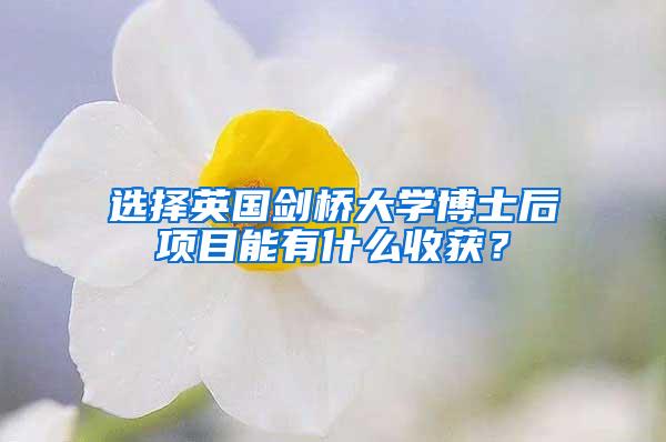 选择英国剑桥大学博士后项目能有什么收获？