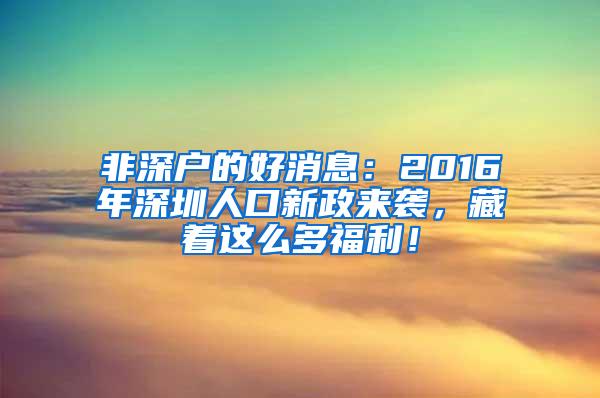 非深户的好消息：2016年深圳人口新政来袭，藏着这么多福利！