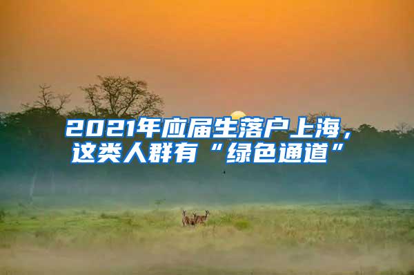 2021年应届生落户上海，这类人群有“绿色通道”