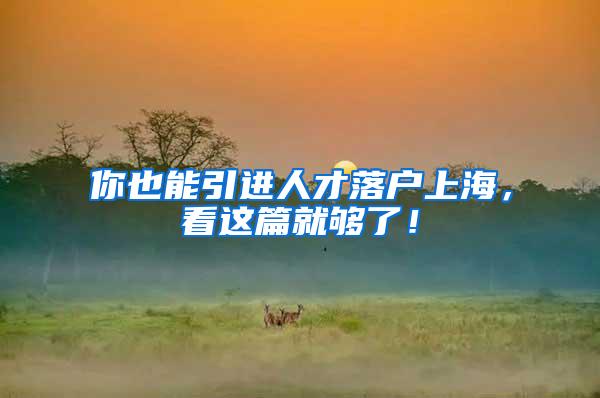 你也能引进人才落户上海，看这篇就够了！