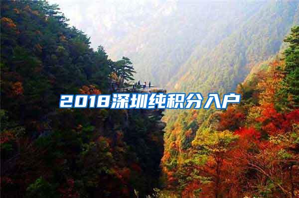 2018深圳纯积分入户